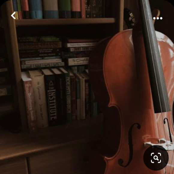 Meet your Posher, Ayla - Picture 1 of 1